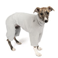 Bild in Galerie-Betrachter laden, Teddy Overall Windhund Light Grey – Hundepullover und Hundekleidung für Dackel und Windhunde – Seitenansicht am Hund
