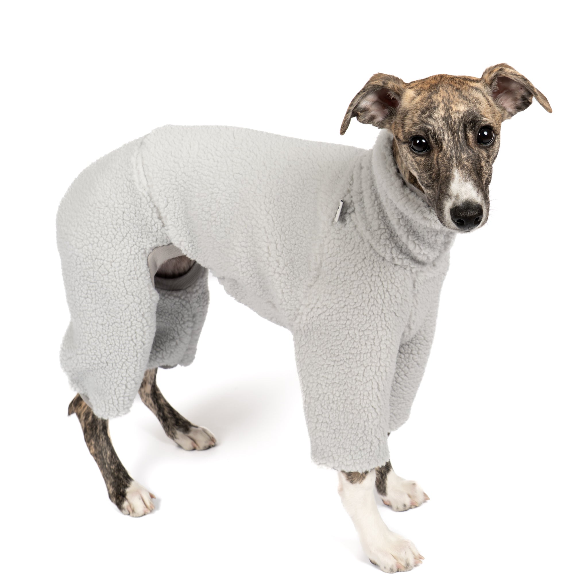 Teddy Overall Windhund Light Grey – Hundepullover und Hundekleidung für Dackel und Windhunde – Seitenansicht am Hund
