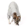 Bild in Galerie-Betrachter laden, Teddy Overall Windhund Light Grey – Hund in Bewegung – bequeme Hundekleidung für Windhunde
