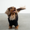 Bild in Galerie-Betrachter laden, Teddy Pullover Dackel Schwarz – Close-up am Hund – hochwertige Hundekleidung von Karma Hund
