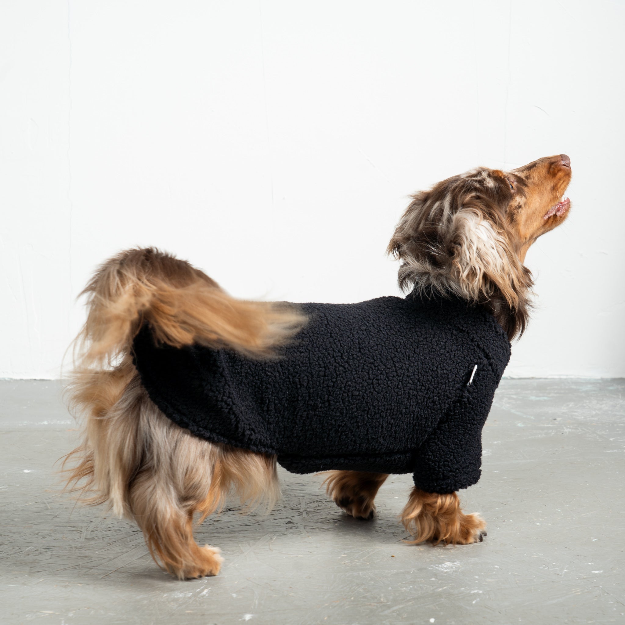 Teddy Pullover Dackel Schwarz – Hundekleidung für Dackel, Windspiele und Whippets – Rückenansicht