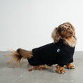 Bild in Galerie-Betrachter laden, Teddy Pullover Dackel Schwarz – optimale Passform für Windhunde, Whippets und Dackel
