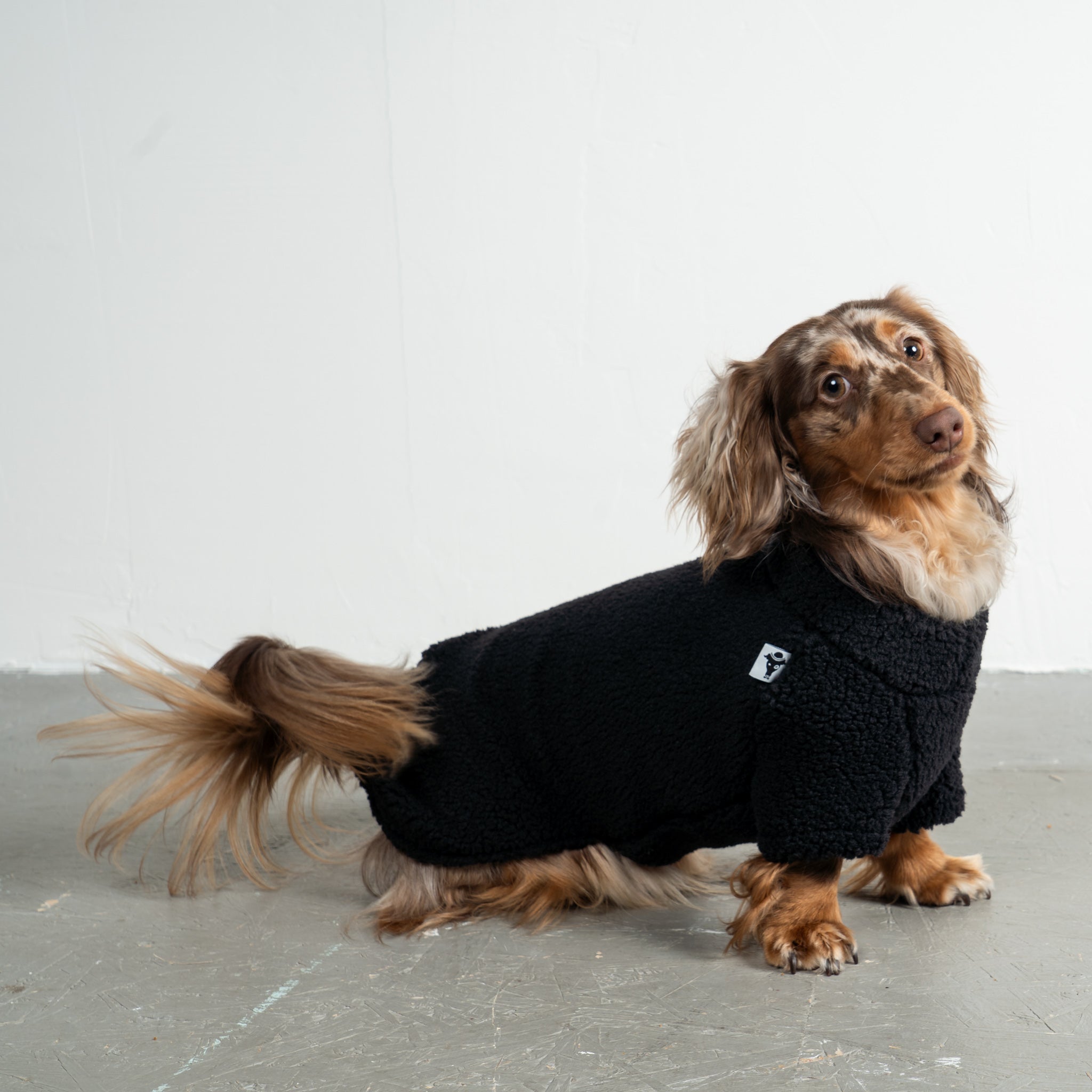 Teddy Pullover Dackel Schwarz – optimale Passform für Windhunde, Whippets und Dackel