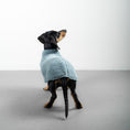 Bild in Galerie-Betrachter laden, TEDDY PULLOVER Dackel Eisblau
