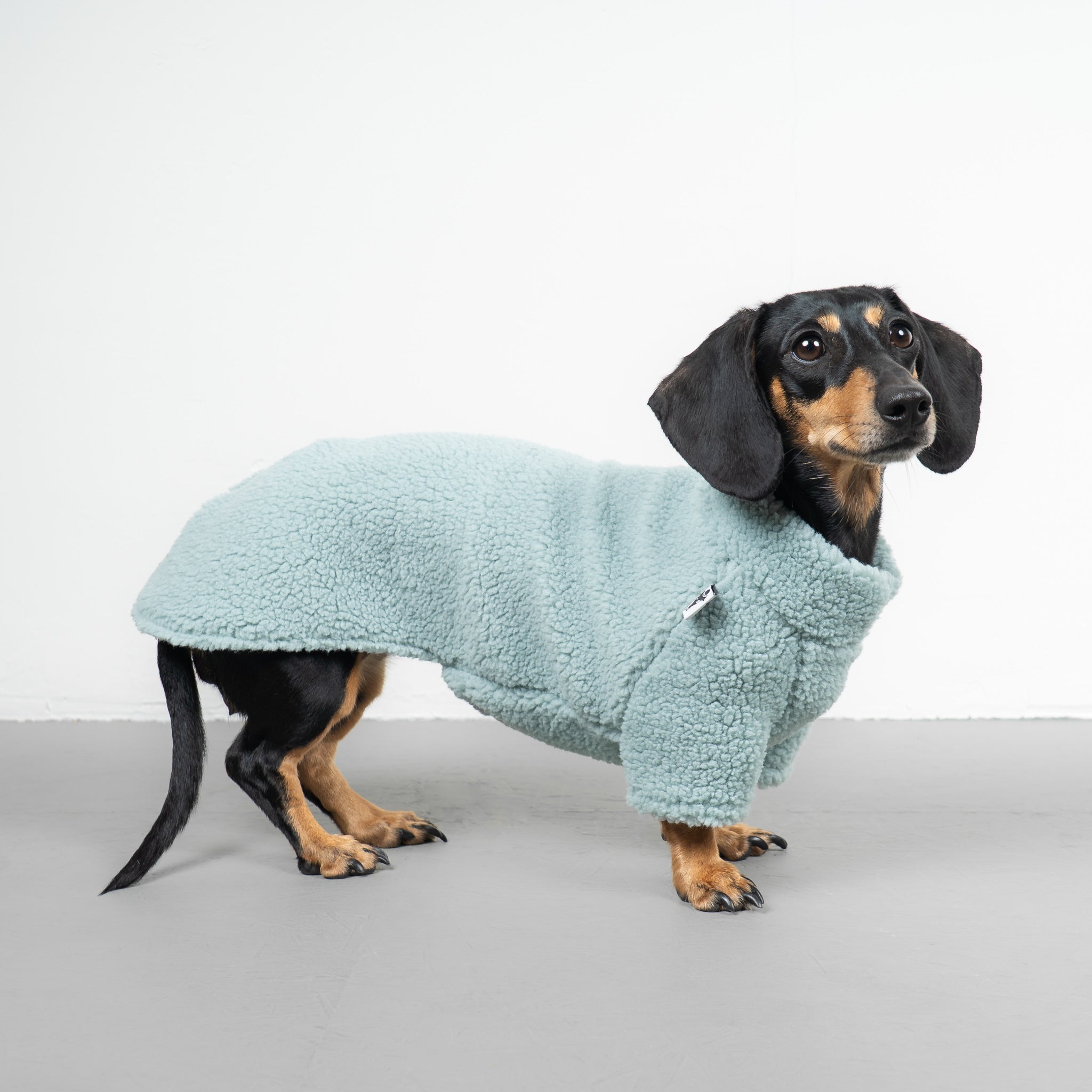 TEDDY PULLOVER Dackel Mintblau