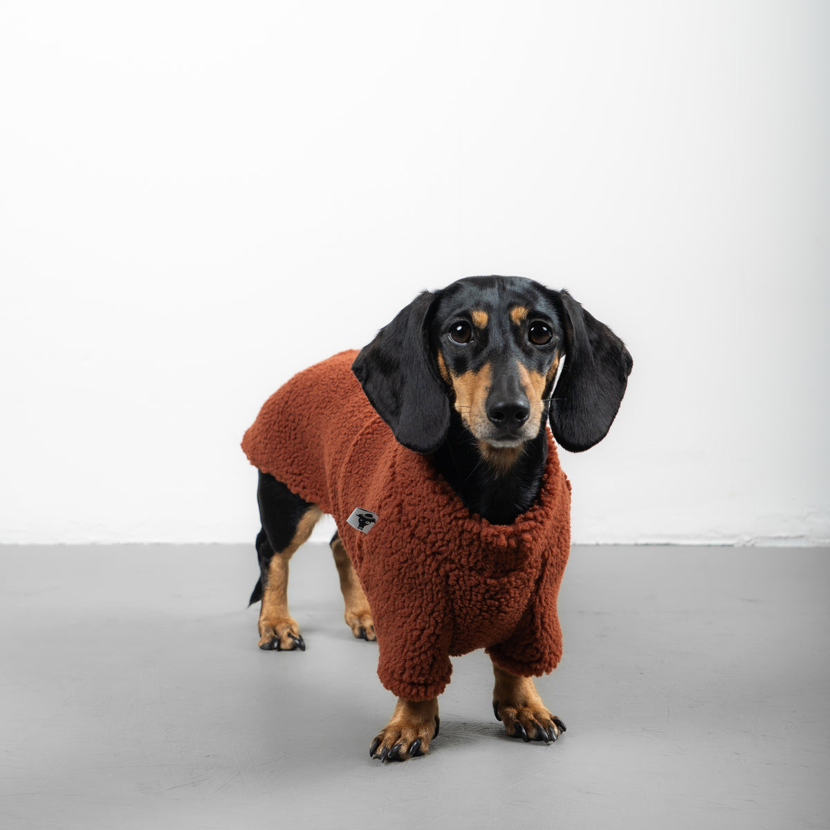 TEDDY PULLOVER Dackel Rostbraun
