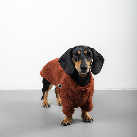 TEDDY PULLOVER Dackel Rostbraun