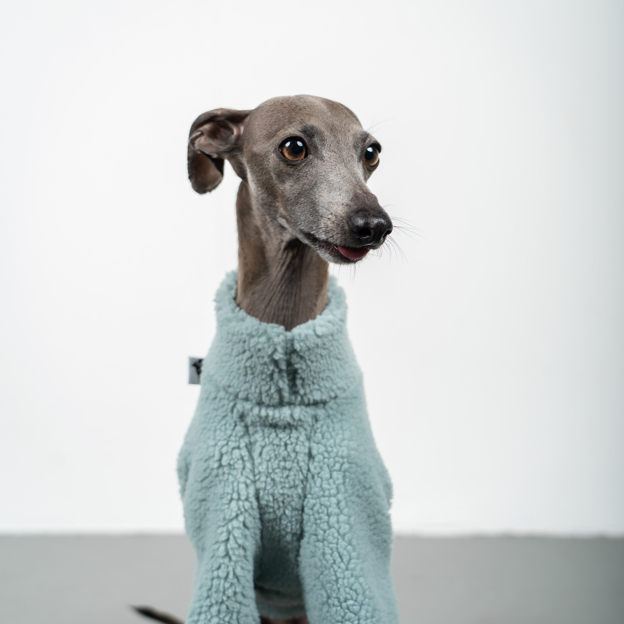 TEDDY PULLOVER Iggy Mintblau