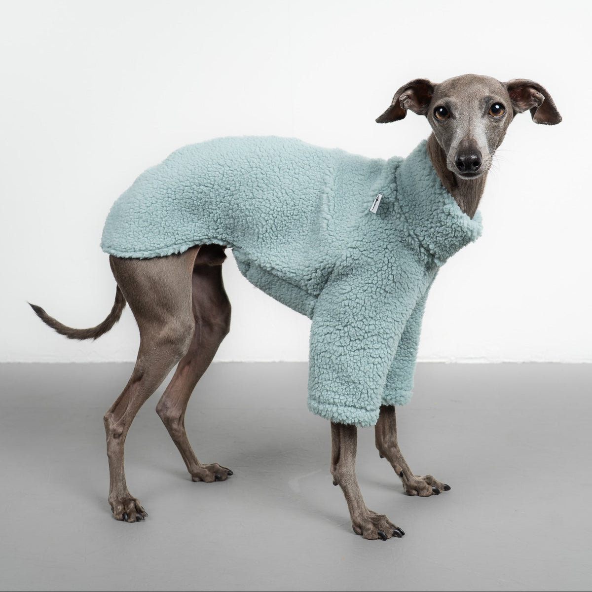 TEDDY PULLOVER Iggy Mintblau