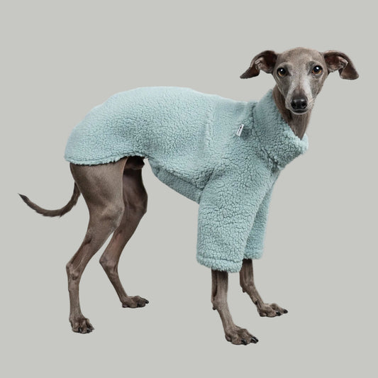 TEDDY PULLOVER Iggy Mintblau
