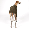 Bild in Galerie-Betrachter laden, Teddy Pullover Windhund Dark Olive – Hundekleidung für Dackel, Windspiele und Whippets – Rückenansicht

