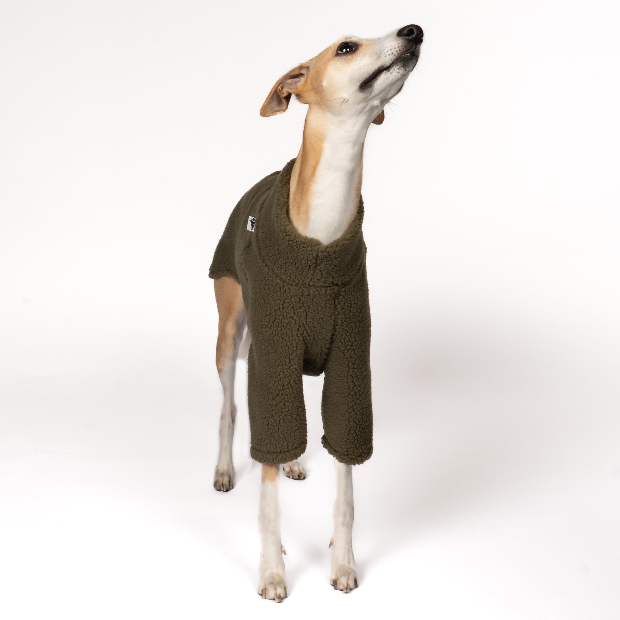 Teddy Pullover Windhund Dark Olive – ergonomischer Schnitt für Dackel und Windhunde – handgefertigte Hundekleidung