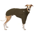 Bild in Galerie-Betrachter laden, Teddy Pullover Windhund Dark Olive – hochwertige Hundekleidung für Dackel, Windspiele und Windhunde von Karma Hund Berlin – Ganzkörperansicht am Hund
