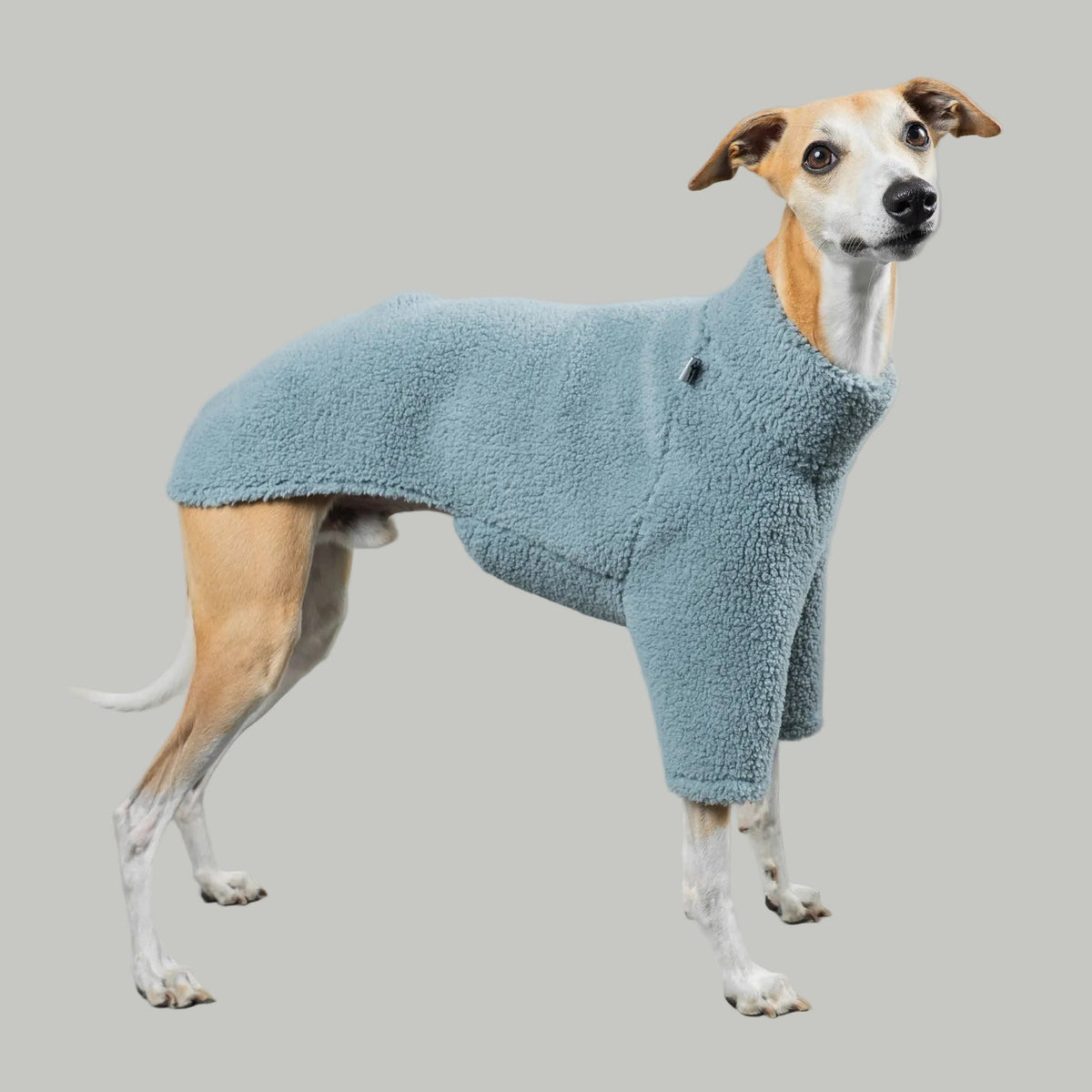 TEDDY PULLOVER Windhund Eisblau