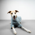 Bild in Galerie-Betrachter laden, TEDDY PULLOVER Windhund Eisblau
