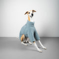 Bild in Galerie-Betrachter laden, TEDDY PULLOVER Windhund Eisblau
