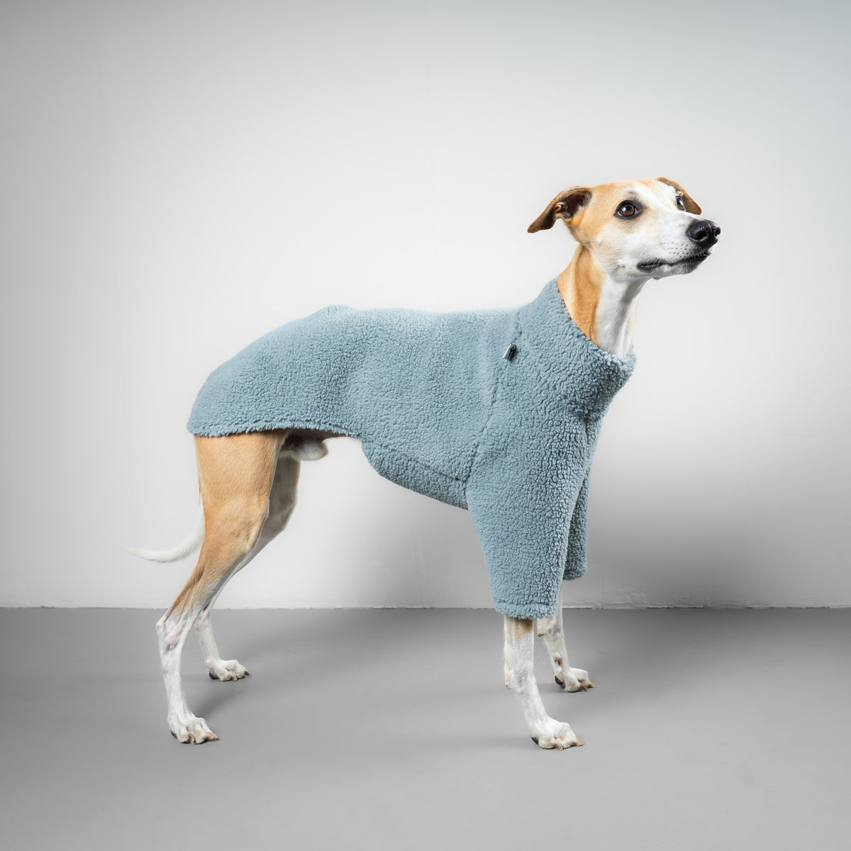 TEDDY PULLOVER Windhund Eisblau
