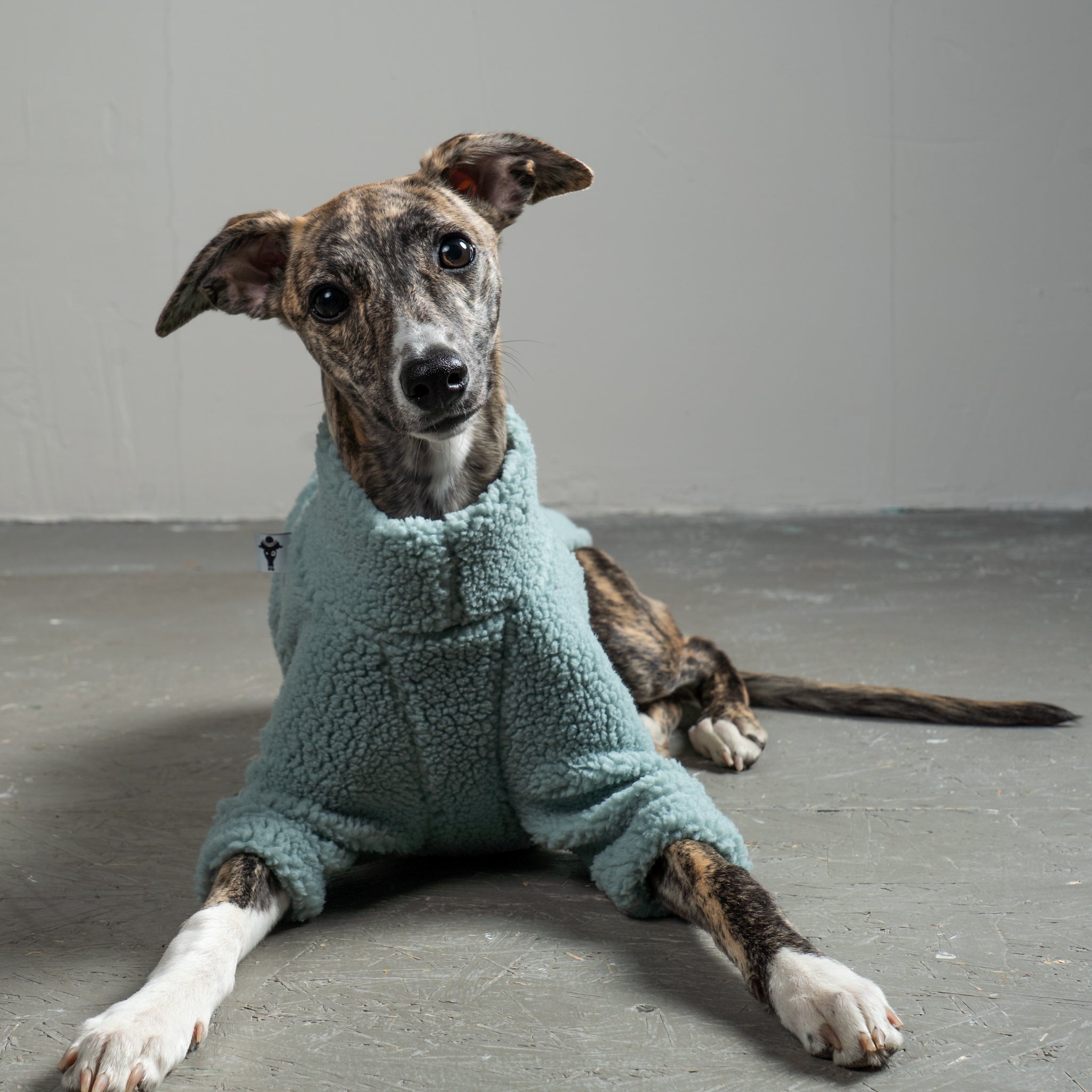 TEDDY PULLOVER Windhund Mint