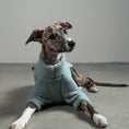 Bild in Galerie-Betrachter laden, TEDDY PULLOVER Windhund Mint
