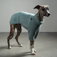 Bild in Galerie-Betrachter laden, TEDDY PULLOVER Windhund Mint
