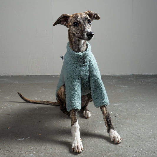 TEDDY PULLOVER Windhund Mint