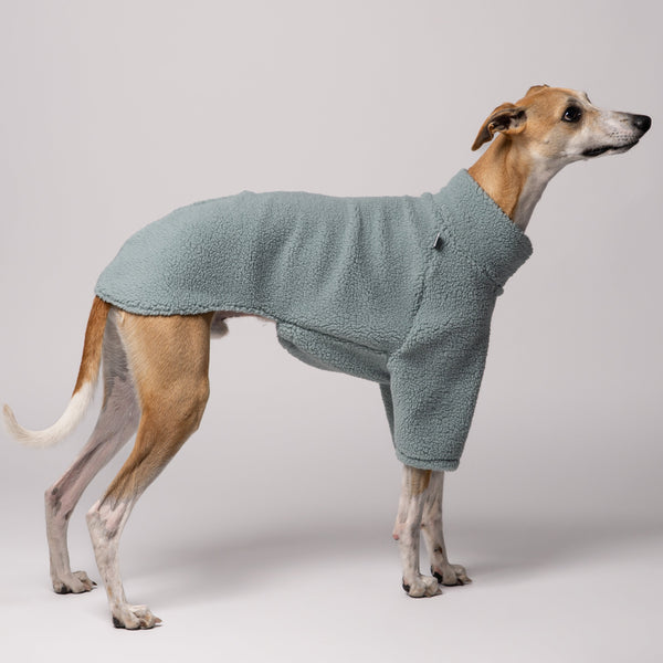 Seitenansicht eines Whippets im warmen, mintfarbenen Teddy-Pullover von Karma Hund