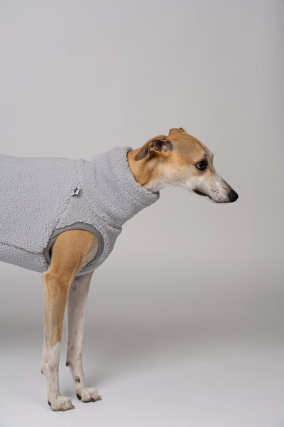 Weicher Stoff, eleganter Schnitt – Whippet im hellgrauen Teddy-Fleece