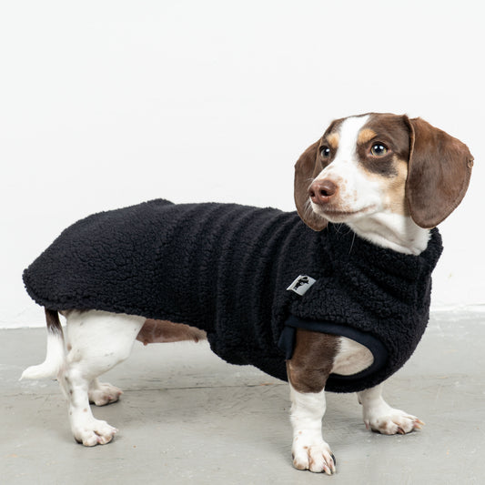 TEDDY SHIRT Dackel Schwarz