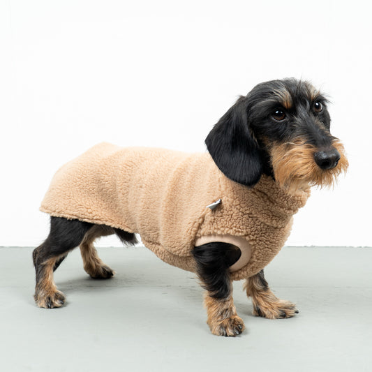 TEDDY SHIRT Dackel Camel