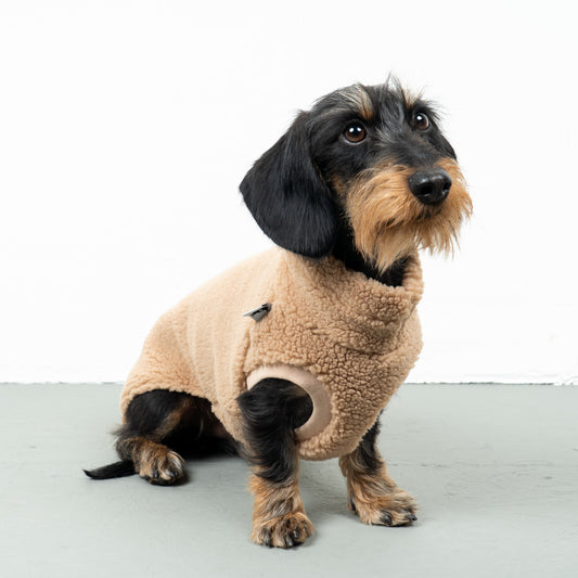 TEDDY SHIRT Dackel Camel