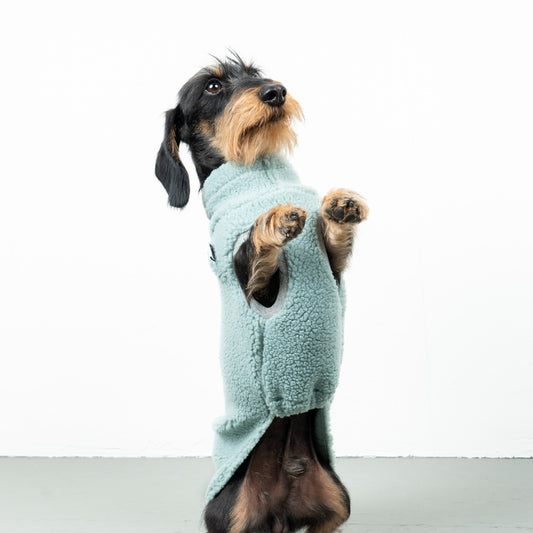 TEDDY SHIRT Dackel Mint