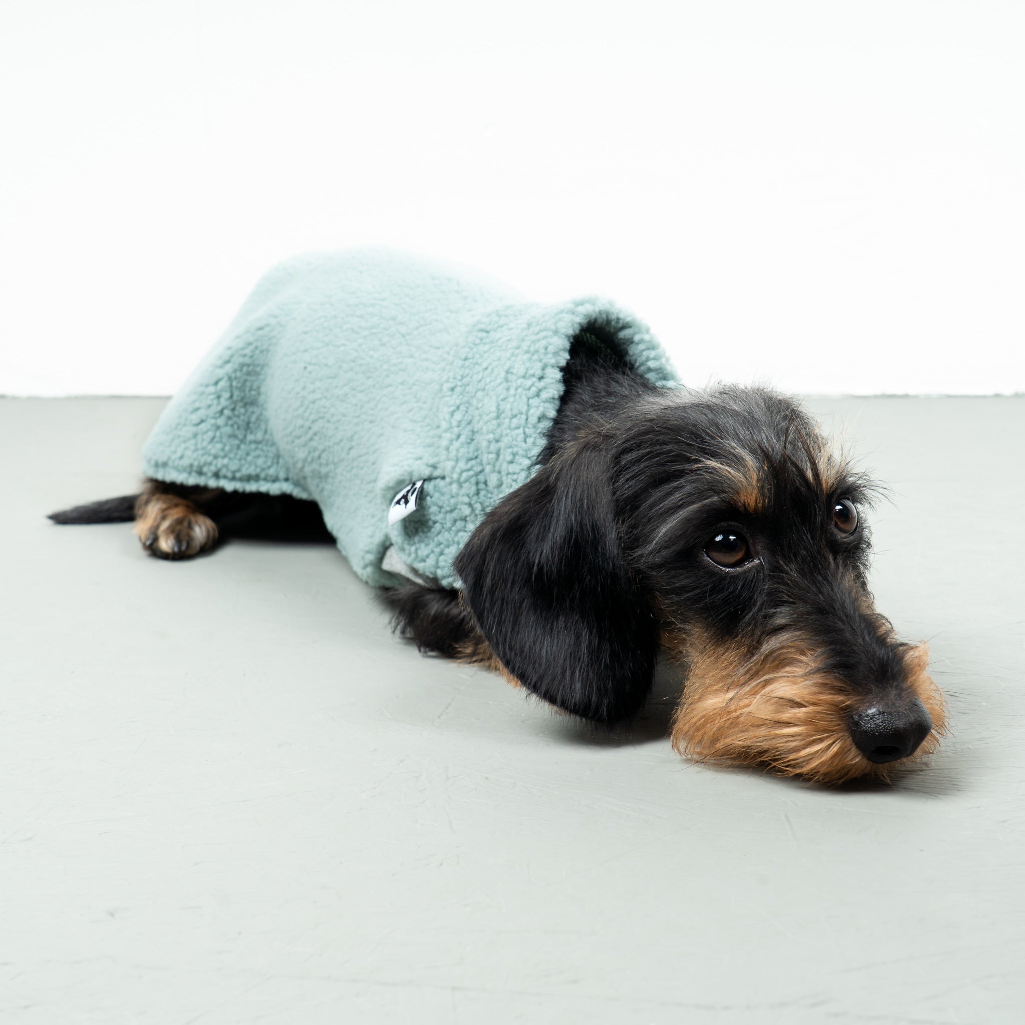 TEDDY SHIRT Dackel Mint