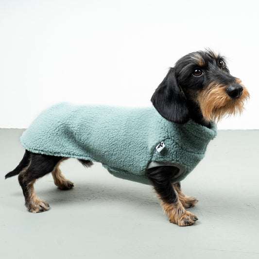 TEDDY SHIRT Dackel Mint