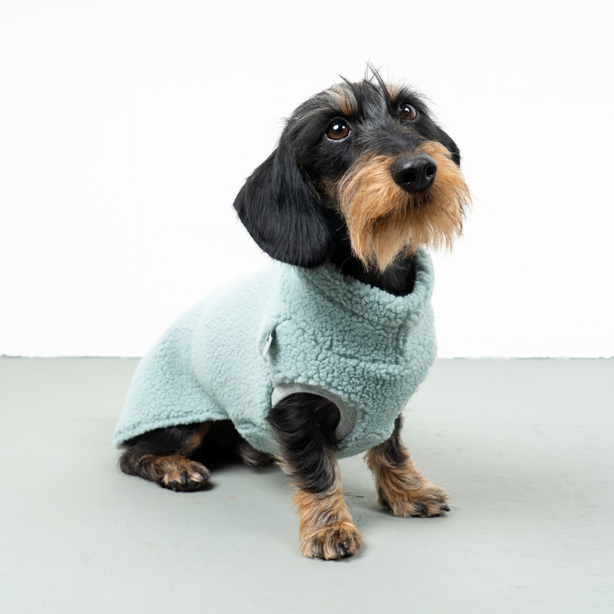 TEDDY SHIRT Dackel Mint