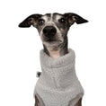 Bild in Galerie-Betrachter laden, Teddy Shirt Iggy Light Grey – Close-up am Hund – hochwertige Hundekleidung von Karma Hund
