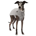 Bild in Galerie-Betrachter laden, Teddy Shirt Iggy Light Grey – ergonomischer Schnitt für Dackel und Windspiele – handgefertigte Hundekleidung
