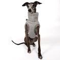 Bild in Galerie-Betrachter laden, Teddy Shirt Iggy Light Grey – optimale Passform für Windhunde, Windspiele und Dackel
