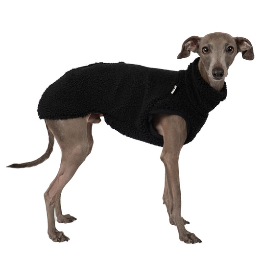 TEDDY SHIRT Iggy Schwarz