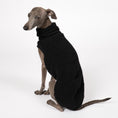 Bild in Galerie-Betrachter laden, Teddy Shirt Iggy Schwarz – Hundekleidung für Dackel, Windspiele und Whippets – Rückenansicht
