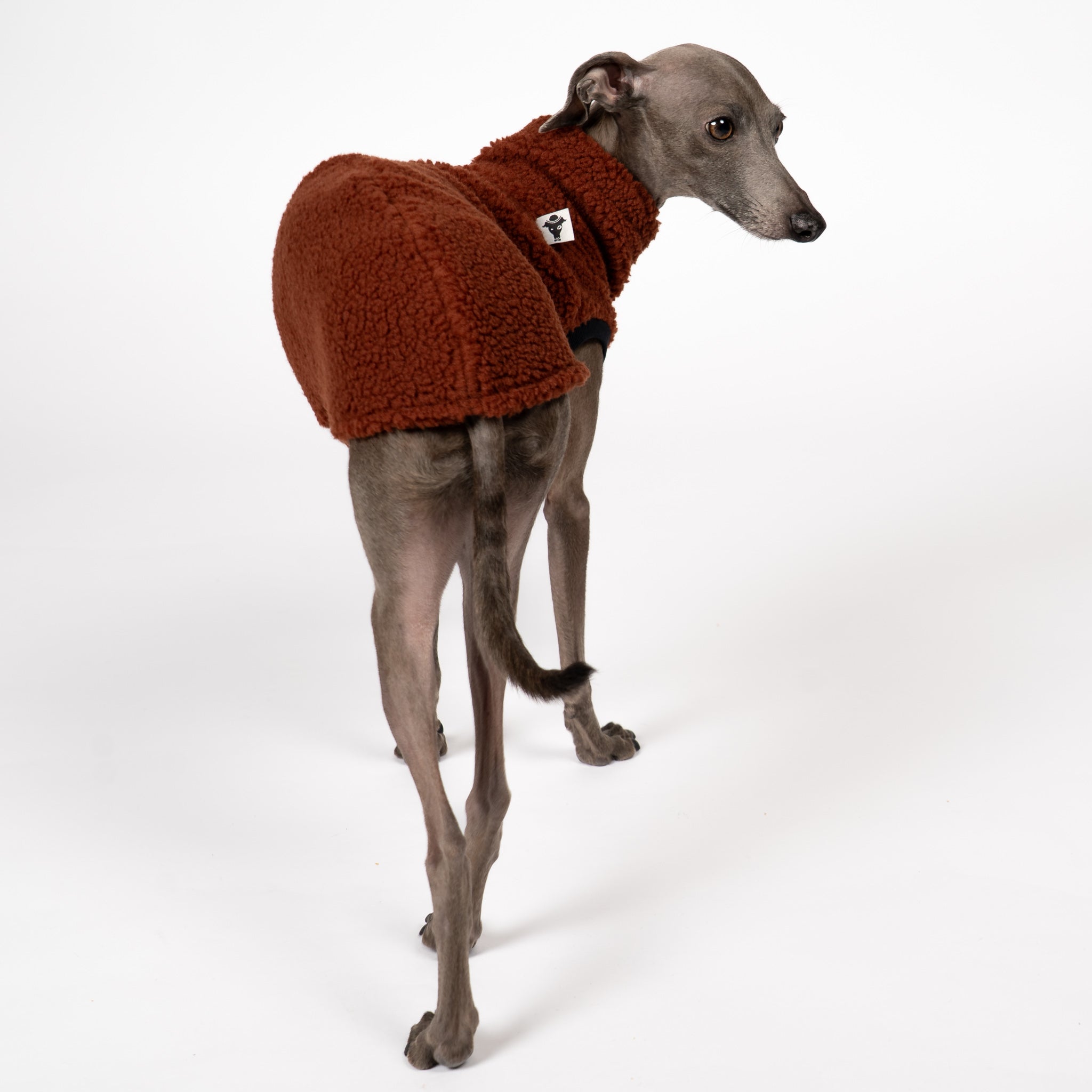 TEDDY SHIRT Iggy Brown