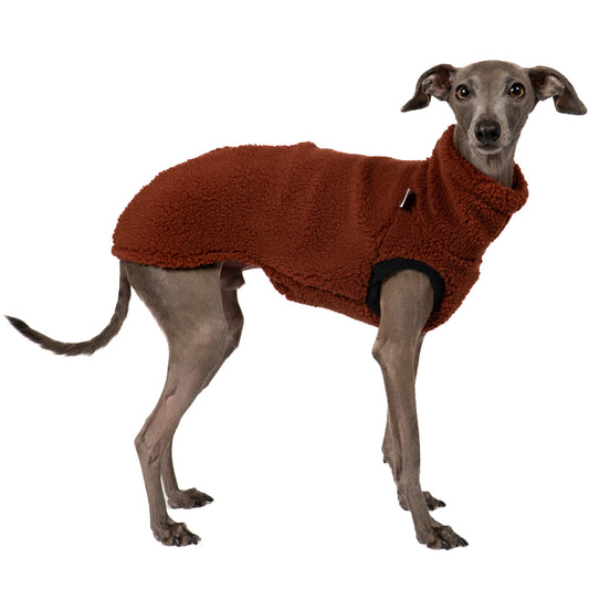 TEDDY SHIRT Iggy Brown