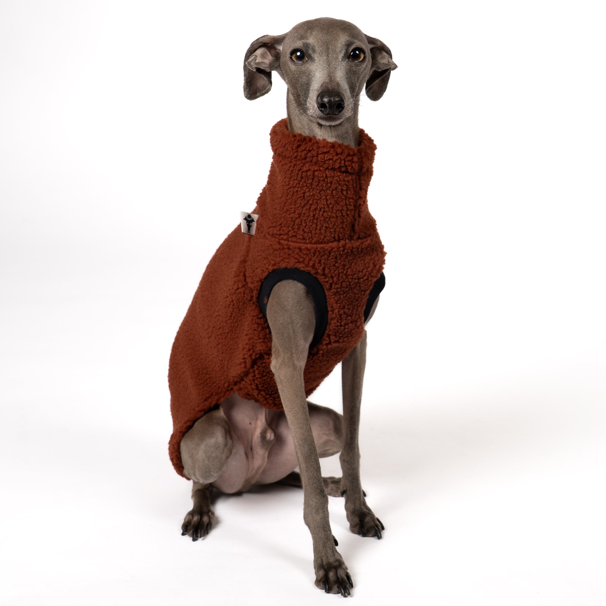 TEDDY SHIRT Iggy Brown