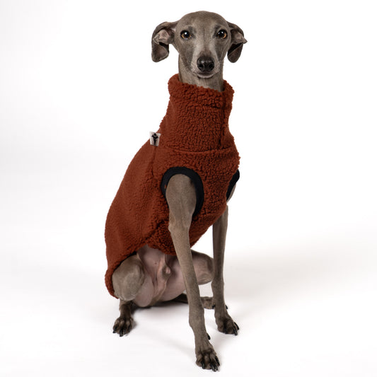Teddy Shirt Iggy Brown – Ganzkörperansicht – stilvolle Hundekleidung für Windspiele und Windhunde