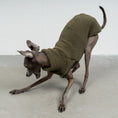 Bild in Galerie-Betrachter laden, TEDDY SHIRT Iggy Dark Olive

