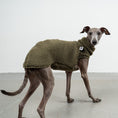 Bild in Galerie-Betrachter laden, TEDDY SHIRT Iggy Dark Olive
