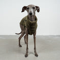Bild in Galerie-Betrachter laden, TEDDY SHIRT Iggy Dark Olive
