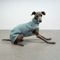 Bild in Galerie-Betrachter laden, TEDDY SHIRT Iggy Mint

