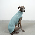 Bild in Galerie-Betrachter laden, TEDDY SHIRT Iggy Mint
