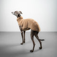 Bild in Galerie-Betrachter laden, TEDDY SHIRT Iggy Sand Beige
