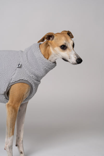 Hellgraues Teddy-Shirt für Windhunde – Komfort trifft auf Design